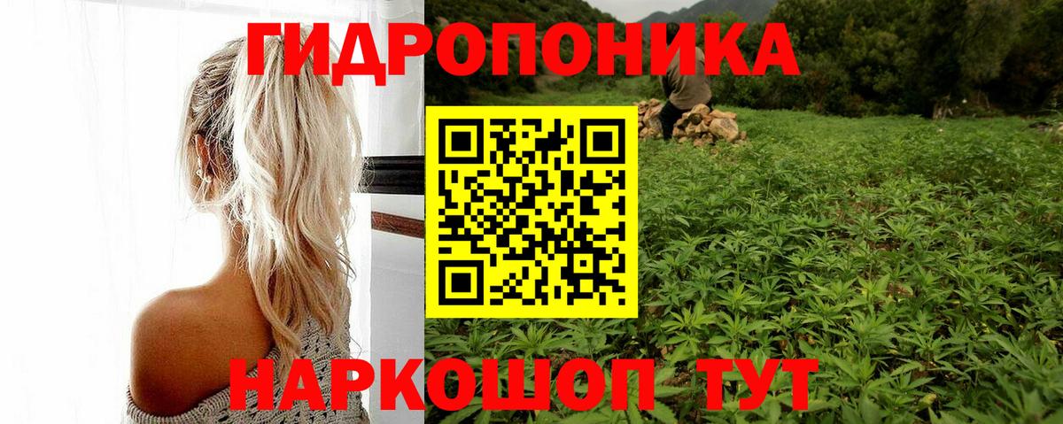 Бошки марихуана White Widow  МАРИХУАНА план  Учалы  Вход с VPN  МАРИХУАНА OG Kush 